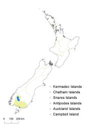 Cardamine serpentina distribution map based on databased records at AK, CHR, OTA & WELT.
 Image: K.Boardman © Landcare Research 2018 CC BY 4.0